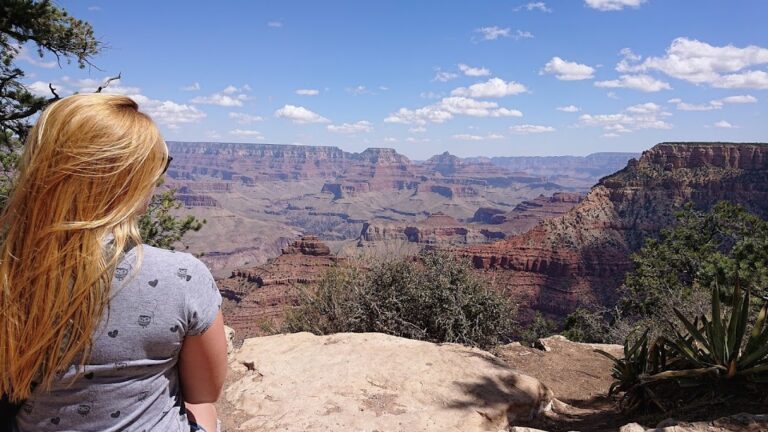 Dia 10 – Kingman > Grand Canyon > Route 66 > Monument Valley