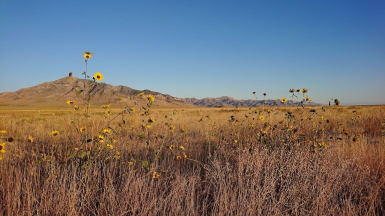 Dia 11 – Salt Lake City > Great Salt Lake > Tooele