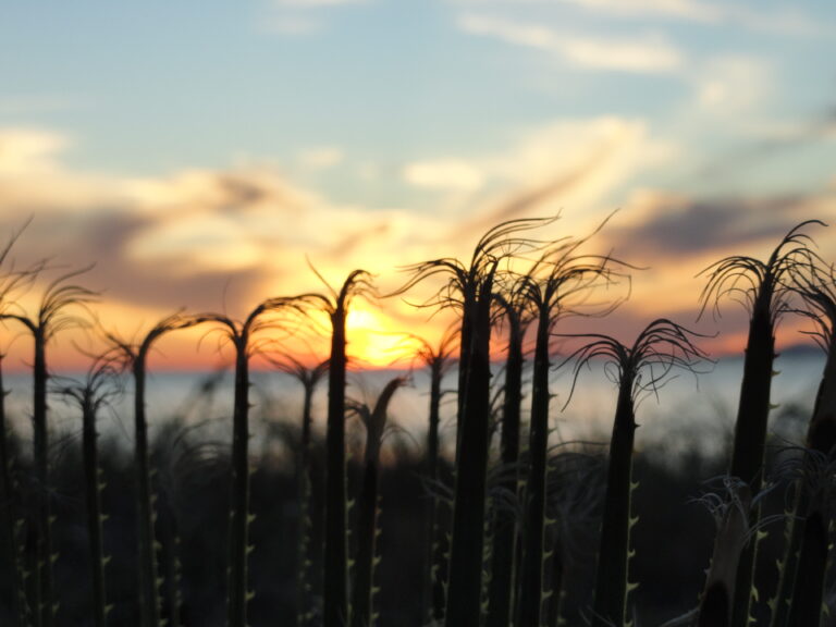 E então o blog fez 10 anos!